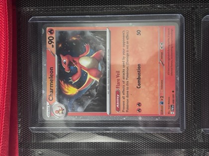 Charmeleon graded 8