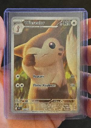Wiesenior, graded 9.5