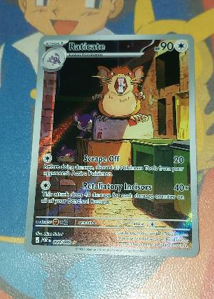 Raticate, graded 9.5