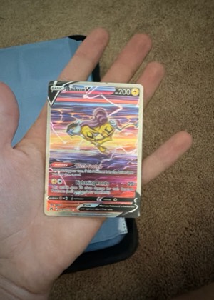 Raikou V graded 8