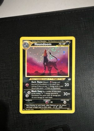 Houndoom, graded 8.0