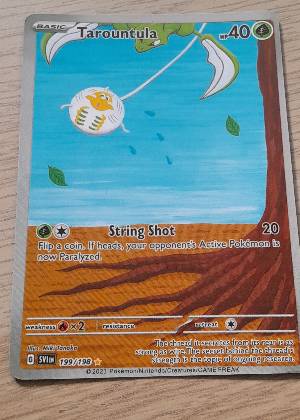 Tarountula, graded 9.0