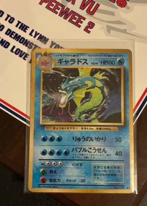 Gyarados, graded 8.0