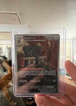 Bastiodon, graded 8.0