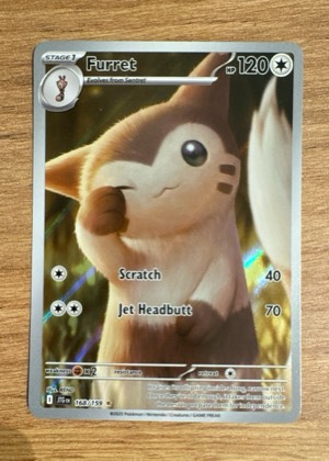 Furret, graded 9.5