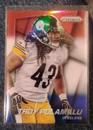 Troy Polamalu, graded 9.0