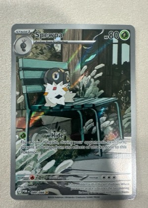 Spewpa, graded 9.5