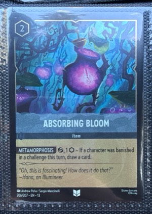 Absorbing Bloom, graded 9.0