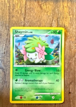 Shaymin (38), graded 8.0