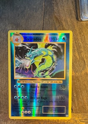 Gyarados, graded 8.5