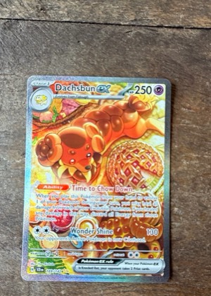 Dachsbun ex, graded 9.0