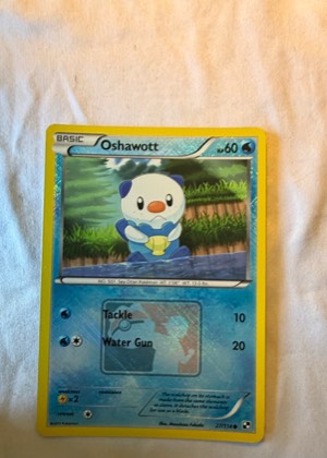 Oshawott (27), graded 8.5