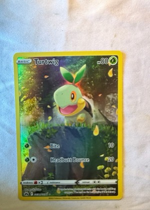 Turtwig, graded 9.0