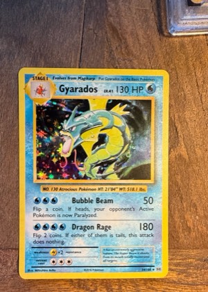 Gyarados, graded 8.5