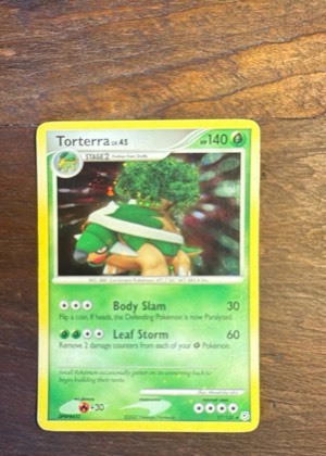 Torterra, graded 9.5