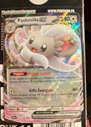 Pashmilla ex, graded 8.5