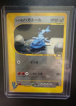 Bruno's Steelix, graded 9.0