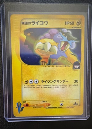 Rocket's Raikou, graded 9.0
