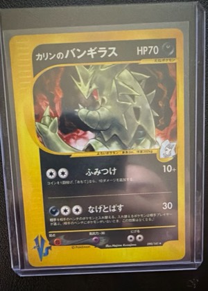 Karen's Tyranitar, graded 8.0