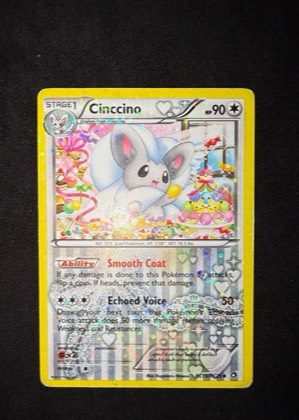 Cinccino, graded 8.5