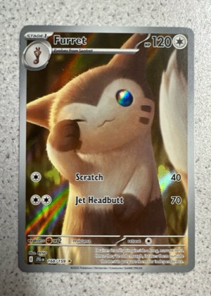 Furret, graded 9.5