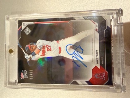 Mike Maignan, graded 8.0