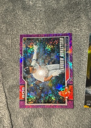 Andruw Monasterio, graded 9.5