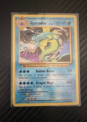 Gyarados, graded 9.5