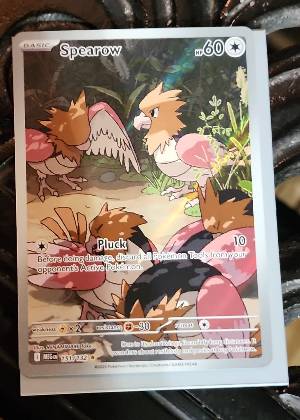 Spearow, graded 9.0