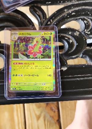 Meganium, graded 9.0