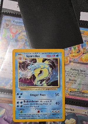 Gyarados, graded 8.0