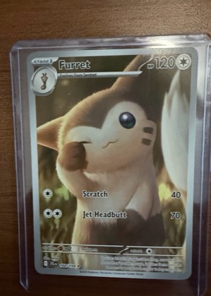 Furret, graded 9.5