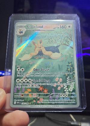 Stoutland, graded 9.0