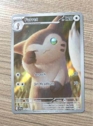 Furret, graded 9.5
