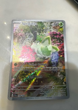 Sprigatito, graded 8.0