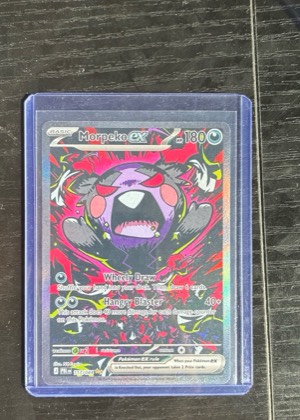 Morpeko ex, graded 9.0