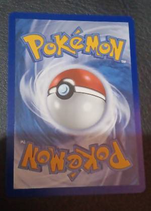 Totodile graded 8.5