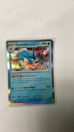 Gyarados graded 6 & below