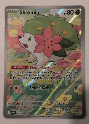 Shaymin, graded 9.5