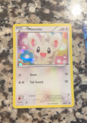 Minccino - BW13 (Cosmos Holo), graded 8.0