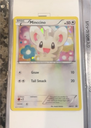 Minccino - BW13 (Cosmos Holo), graded 2.0