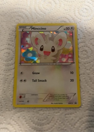 Minccino - BW13 (Cosmos Holo), graded 7.5