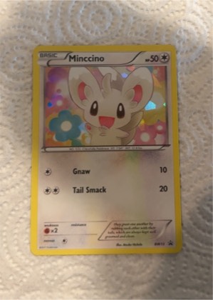 Minccino - BW13 (Cosmos Holo), graded 7.0
