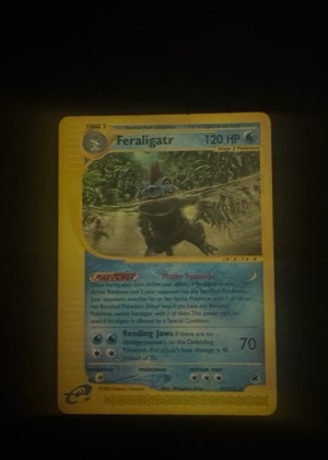 Feraligatr (47), graded 7.5