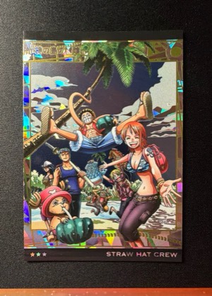 Straw Hat Crew, graded 9.5