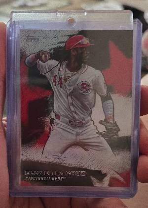 Elly De La Cruz, graded 9.0