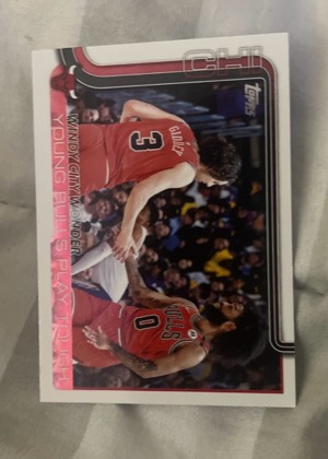 Windy City Wonder: Young Bulls Play Tough, graded 9.0
