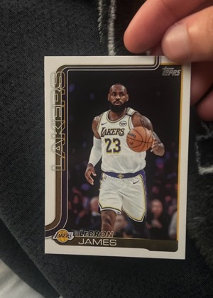 LeBron James, graded 9.0