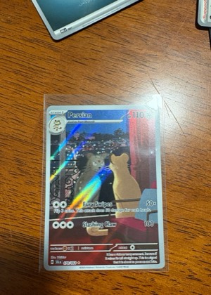 Persian, graded 9.0