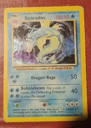 Gyarados graded 6 & below